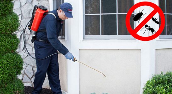 Banaz Gümüşkurt İlaçlama böcek ilaçlama ve haşere kontrolü — ilaclama-tr.com